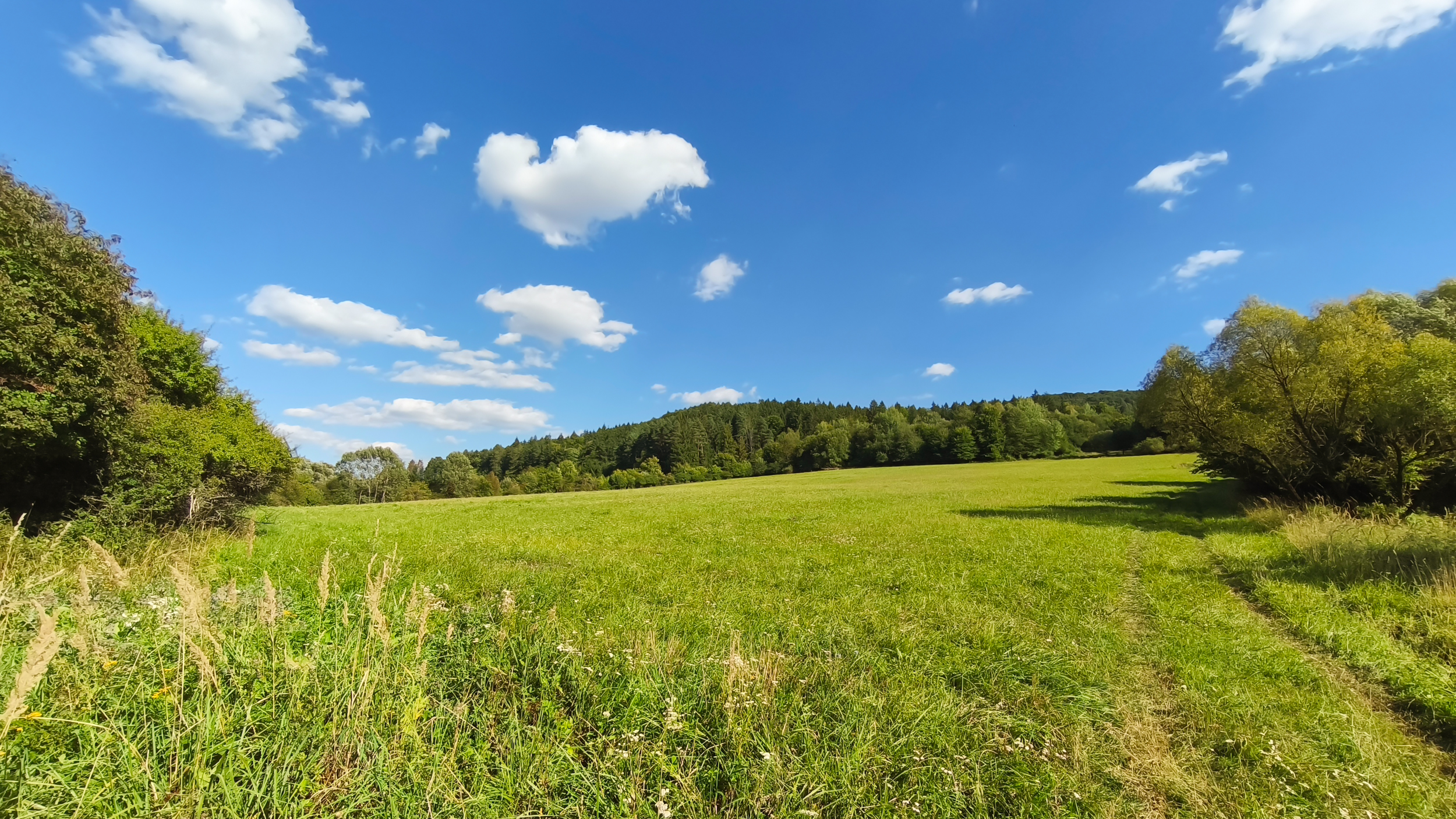 Rozsiahle pozemky na predaj 153.172m2, Dolný Hričov (okres Žilina)